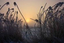sunrise at -18.jpg